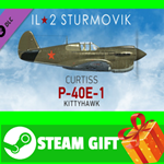 ⭐️ IL-2 Sturmovik: P-40E-1 Collector Plane STEAM GIFT
