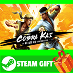 ⭐️ Cobra Kai: The Karate Kid Saga Contiunes STEAM GIFT