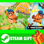 ⭐️ВСЕ СТРАНЫ+РОССИЯ⭐️ Mail Mole STEAM GIFT
