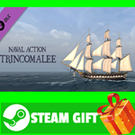 ⭐️ВСЕ СТРАНЫ+РОССИЯ⭐️ Naval Action - Trincomalee STEAM
