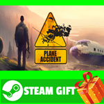 ⭐️ВСЕ СТРАНЫ+РОССИЯ⭐️ Plane Accident STEAM GIFT