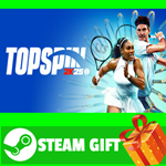 ⭐️ВСЕ СТРАНЫ+РОССИЯ⭐️ TopSpin 2K25 Grand Slam Edition