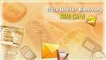 Программа для восстановления данных с SIM карт