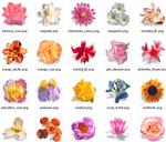 Коллекция иконок Bouquet + БОНУС