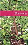 Фикусы + БОНУС