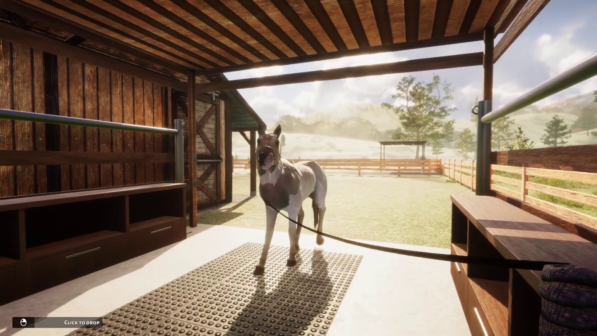 My horse bonded spirits