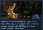 Witches, Heroes and Magic STEAM KEY REGION FREE GLOBAL