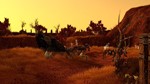 SpellForce 2 - Anniversary Edition STEAM KEY ЛИЦЕНЗИЯ - изображение № 4