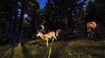 Way of the Hunter ELITE EDITION STEAM KEY РФ+СНГ СТИМ - изображение № 6