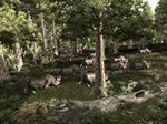 Gothic 3  АВТОДОСТАВКА STEAM GIFT РОССИЯ - изображение № 5