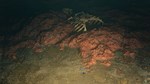 Saint Kotar  АВТОДОСТАВКА STEAM GIFT РОССИЯ - изображение № 4