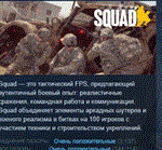 Squad  АВТОДОСТАВКА STEAM РОССИЯ