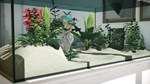 Aquarium Designer  АВТОДОСТАВКА STEAM РОССИЯ - изображение № 4