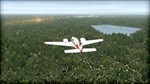 FSX: Steam Edition - Natural Tree Environment X  DLC - изображение № 7