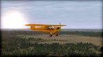 FSX: Steam Edition - Natural Tree Environment X  DLC - изображение № 5