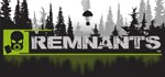 Remnants  АВТОДОСТАВКА STEAM GIFT РОССИЯ