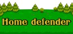 Home defender  АВТОДОСТАВКА STEAM GIFT РОССИЯ