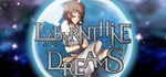Labyrinthine Dreams АВТОДОСТАВКА STEAM GIFT FOR RUS