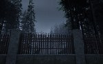 Whitehaven  АВТОДОСТАВКА STEAM GIFT РОССИЯ - изображение № 2