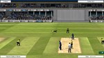 Cricket Captain 2021  АВТОДОСТАВКА STEAM GIFT РОССИЯ - изображение № 2