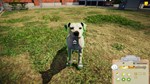 Animal Shelter  АВТОДОСТАВКА STEAM GIFT РОССИЯ - изображение № 6