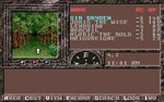 Dungeons & Dragons: Krynn Series  STEAM GIFT РОССИЯ - изображение № 6