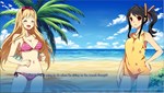 Sakura Beach  АВТОДОСТАВКА STEAM GIFT РОССИЯ - изображение № 4