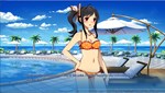 Sakura Beach  АВТОДОСТАВКА STEAM GIFT РОССИЯ - изображение № 2