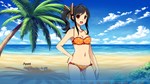Sakura Beach 2 АВТОДОСТАВКА STEAM GIFT РОССИЯ - изображение № 5