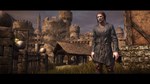 Chivalry: Medieval Warfare АВТОДОСТАВКА STEAM РОССИЯ - изображение № 4