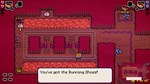 Dandy & Randy DX  АВТОДОСТАВКА STEAM GIFT РОССИЯ - изображение № 2