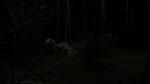 Blood Trail  АВТОДОСТАВКА STEAM РОССИЯ - изображение № 3