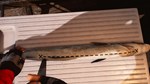 Fishing: Barents Sea АВТОДОСТАВКА STEAM GIFT РОССИЯ - изображение № 4
