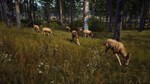 Way of the Hunter  АВТОДОСТАВКА STEAM GIFT РОССИЯ - изображение № 7