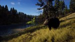 Way of the Hunter  АВТОДОСТАВКА STEAM GIFT РОССИЯ - изображение № 4