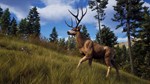 Way of the Hunter  АВТОДОСТАВКА STEAM GIFT РОССИЯ - изображение № 3
