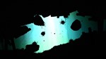 FEIST  АВТОДОСТАВКА STEAM GIFT РОССИЯ - изображение № 5