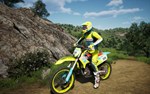 MX vs ATV Legends - Customization Pack DLC STEAM GIFT - изображение № 2