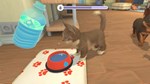 My Universe - Puppies & Kittens  STEAM GIFT RU - изображение № 3