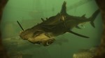 Depth - Legendary Hammerhead Skin  DLC STEAM GIFT RU - изображение № 2
