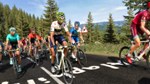 Pro Cycling Manager 2017 АВТОДОСТАВКА STEAM РОССИЯ - изображение № 4