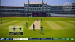 Cricket 19  АВТОДОСТАВКА STEAM GIFT РОССИЯ - изображение № 6