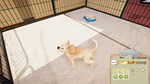 Animal Shelter - Puppies & Kittens DLC  STEAM GIFT - изображение № 2