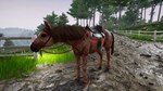 Horse Riding Deluxe 2  АВТОДОСТАВКА STEAM GIFT РОССИЯ - изображение № 4