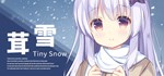 Tiny Snow  АВТОДОСТАВКА STEAM GIFT РОССИЯ