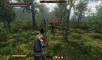 Legends of Ellaria  АВТОДОСТАВКА STEAM GIFT РОССИЯ - изображение № 7