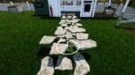 Garden Simulator  АВТОДОСТАВКА STEAM GIFT РОССИЯ - изображение № 5