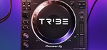 TribeXR DJ School  АВТОДОСТАВКА STEAM GIFT RU