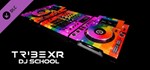 TribeXR - Rainbow Decks Skin  DLC STEAM GIFT РОССИЯ