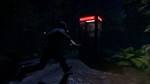 Psych  АВТОДОСТАВКА STEAM GIFT РОССИЯ - изображение № 6